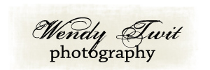 Wendy Twit Photography logo